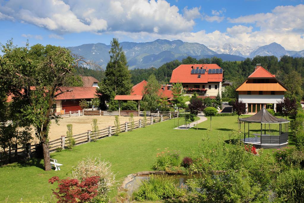 Guest House Repnik Kamnik Extérieur photo