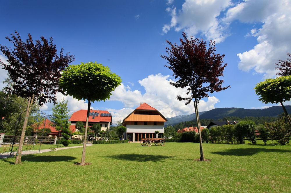 Guest House Repnik Kamnik Extérieur photo