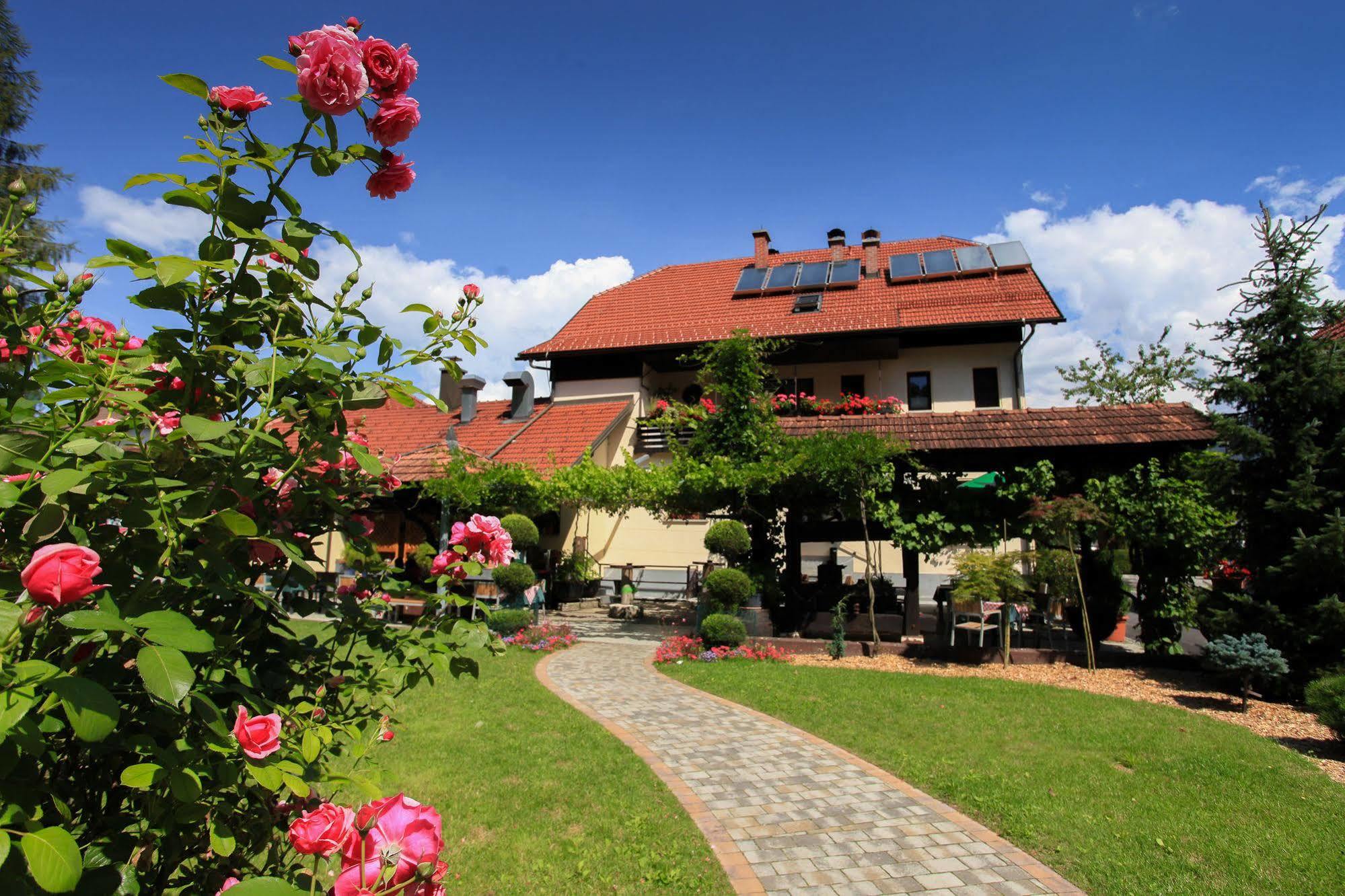 Guest House Repnik Kamnik Extérieur photo