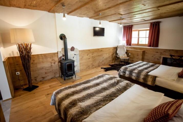 Guest House Repnik Kamnik Extérieur photo